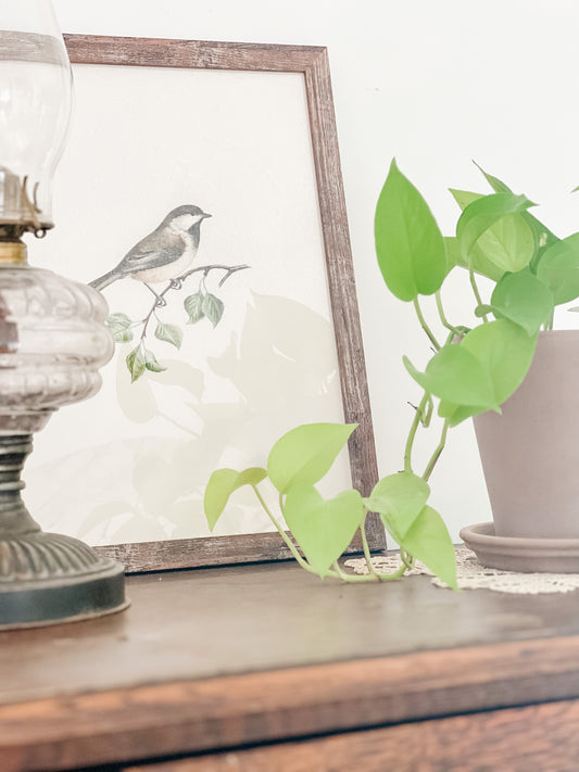 6 Simple Ways to Refresh Your Home For Spring