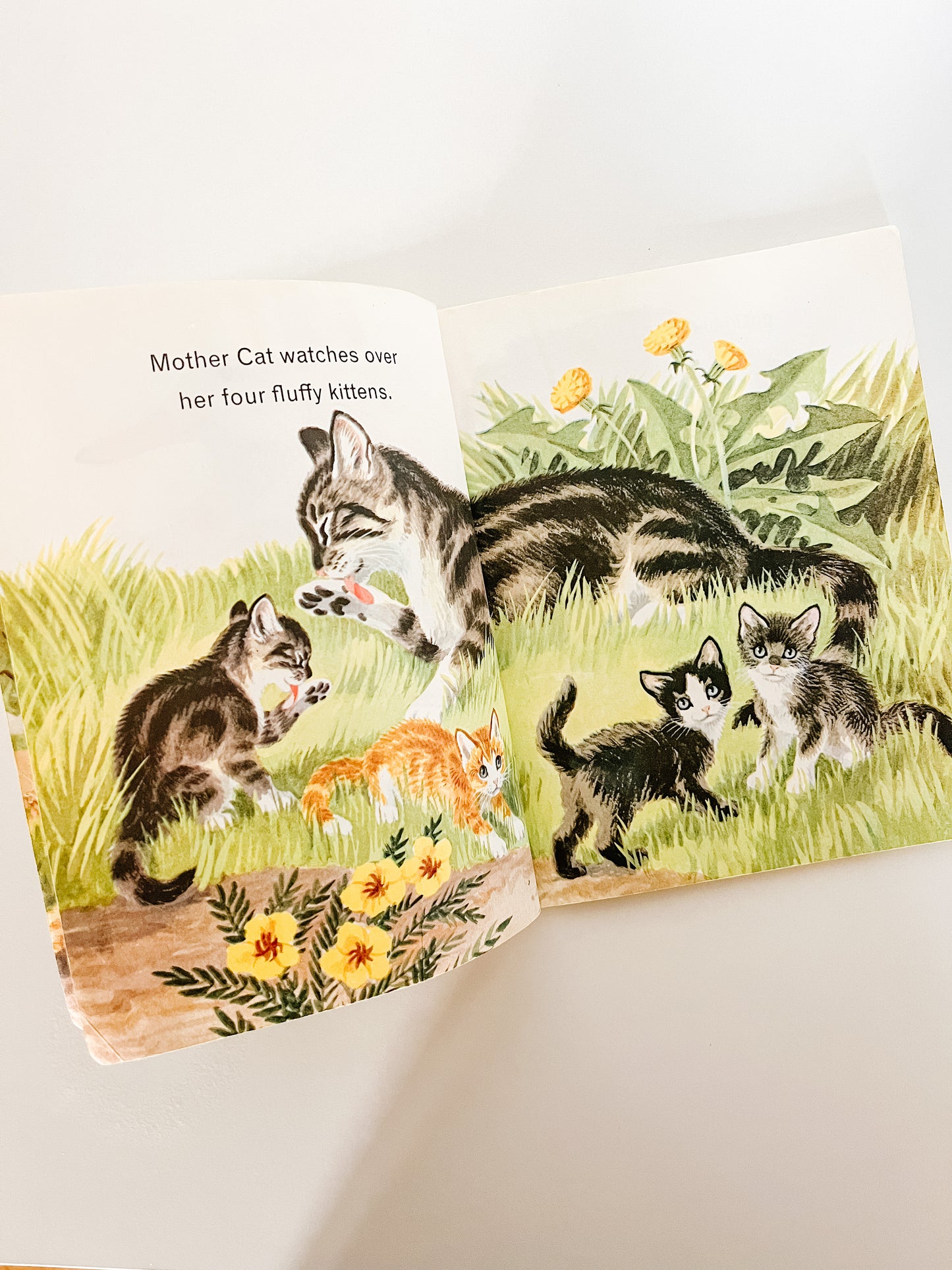 Little Golden Book “Animals on the Farm”