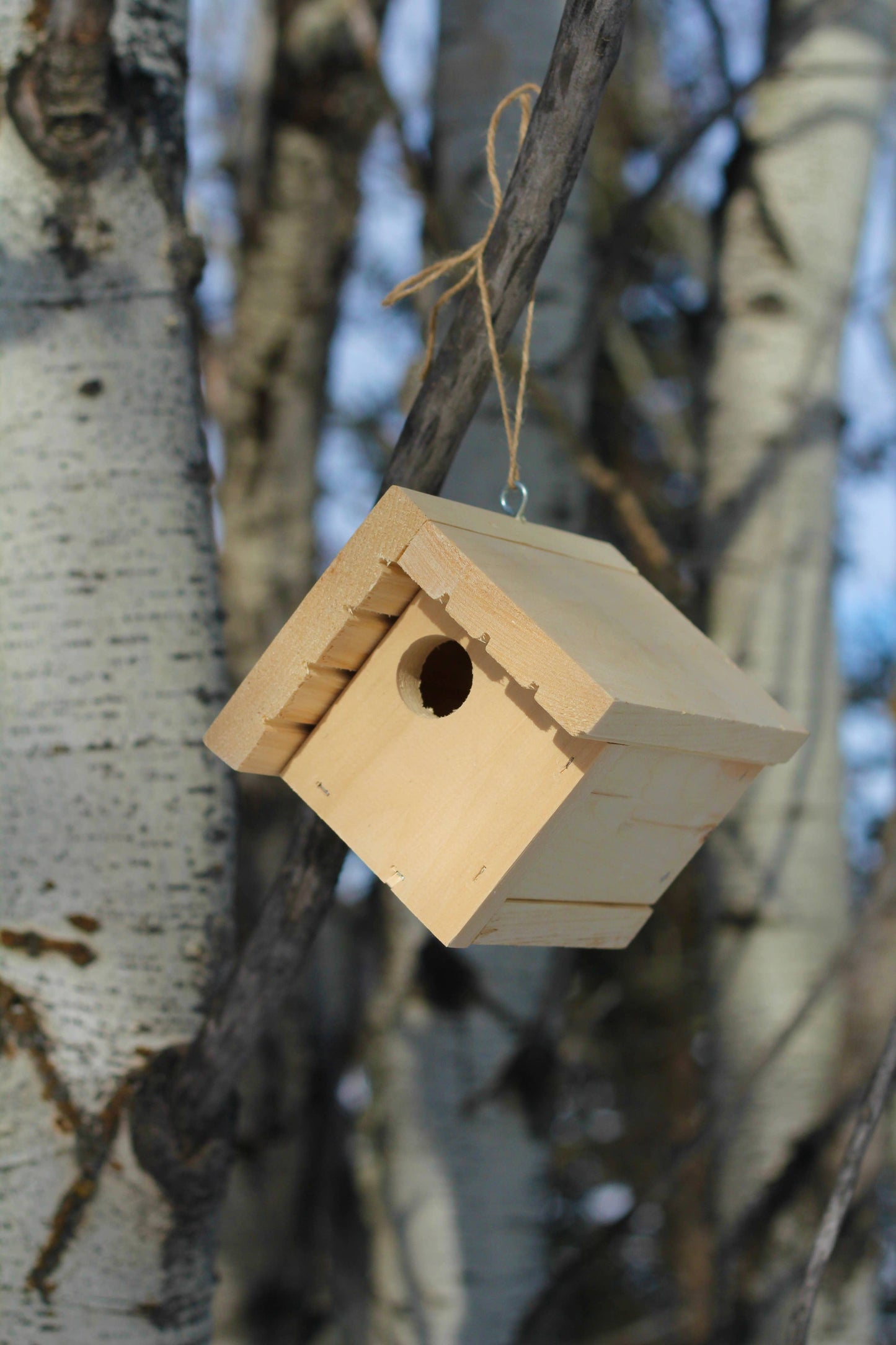 Chickadee / Wren Birdhouse Kit