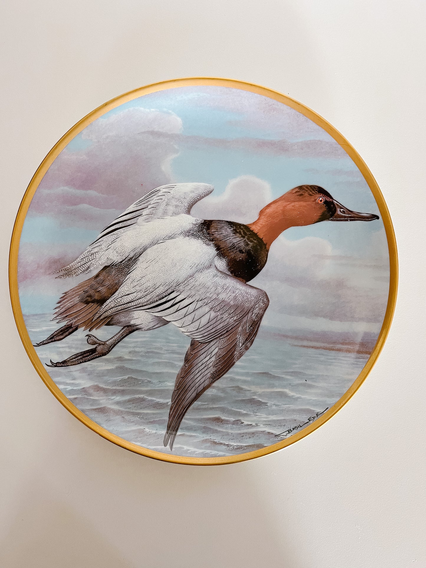 Canvasback Duck Decorative Plate