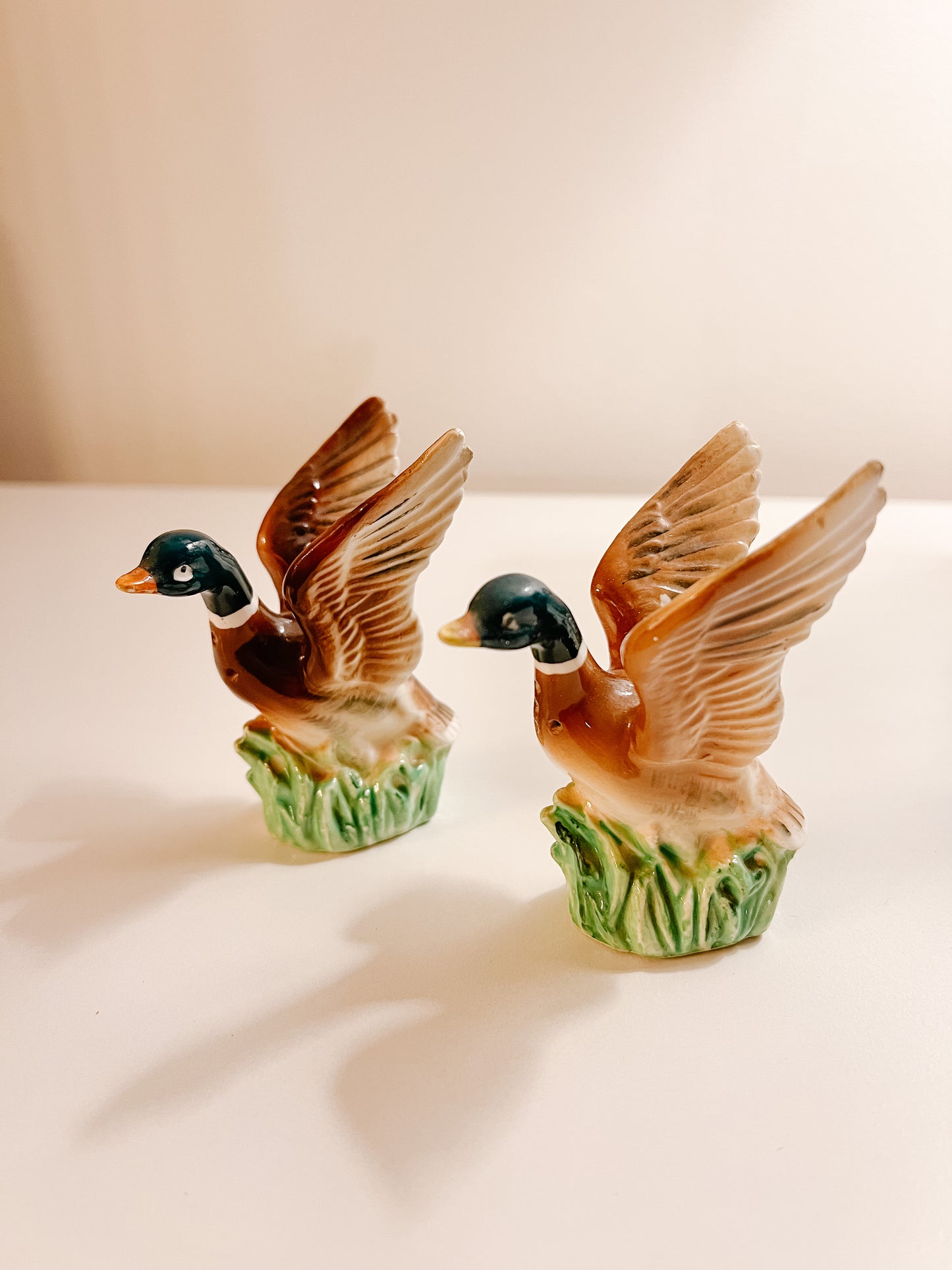 Duck Salt & Pepper Shakers