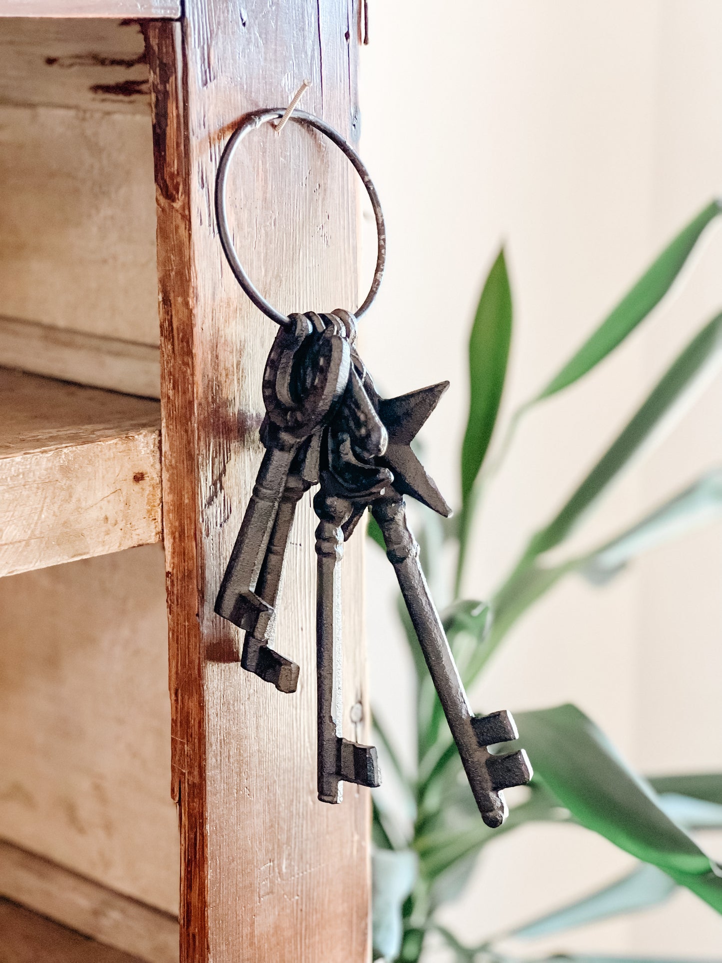 Cast Iron Western Keys