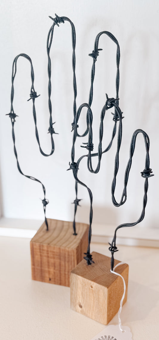 Barbed Wire Cactus Set (set of 2)