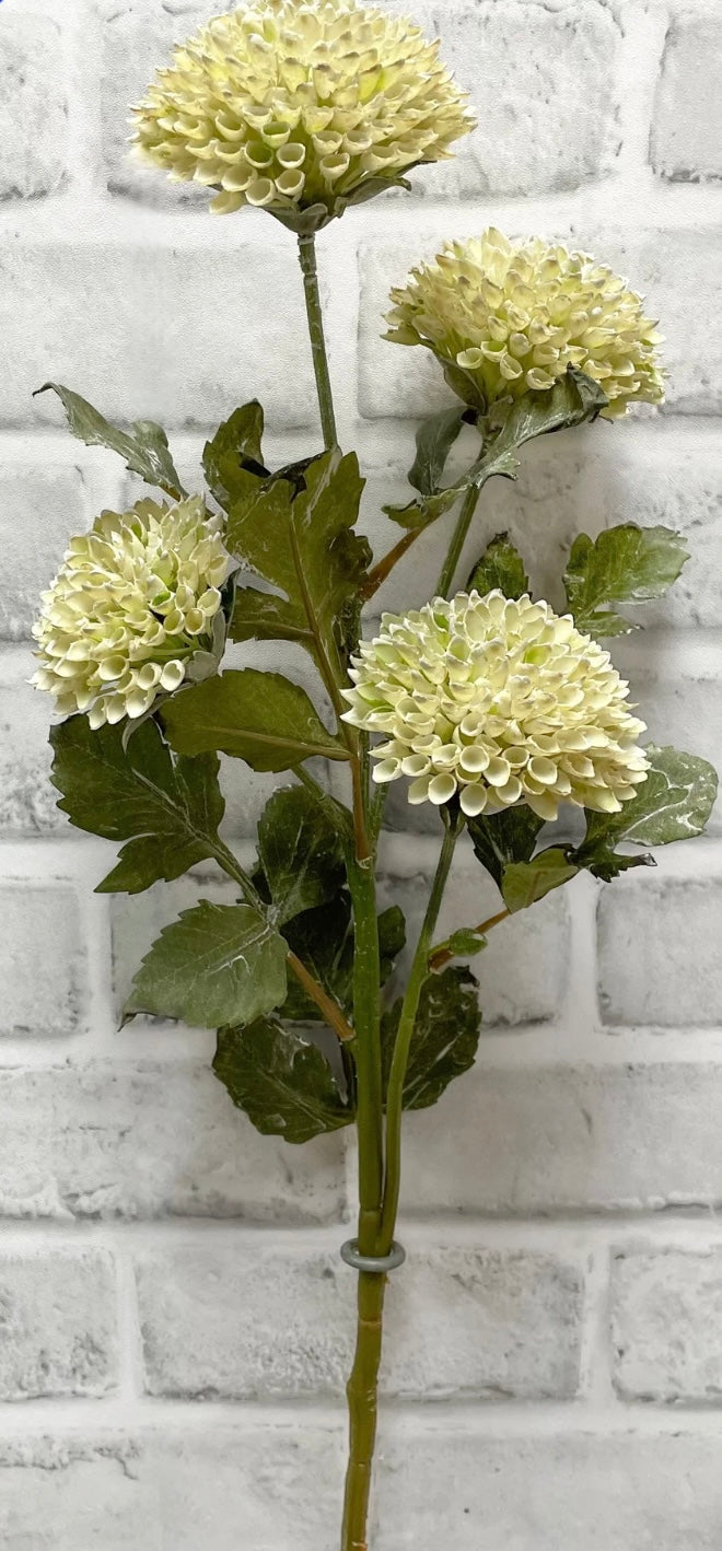 Cream Scabiousa Spray 26”