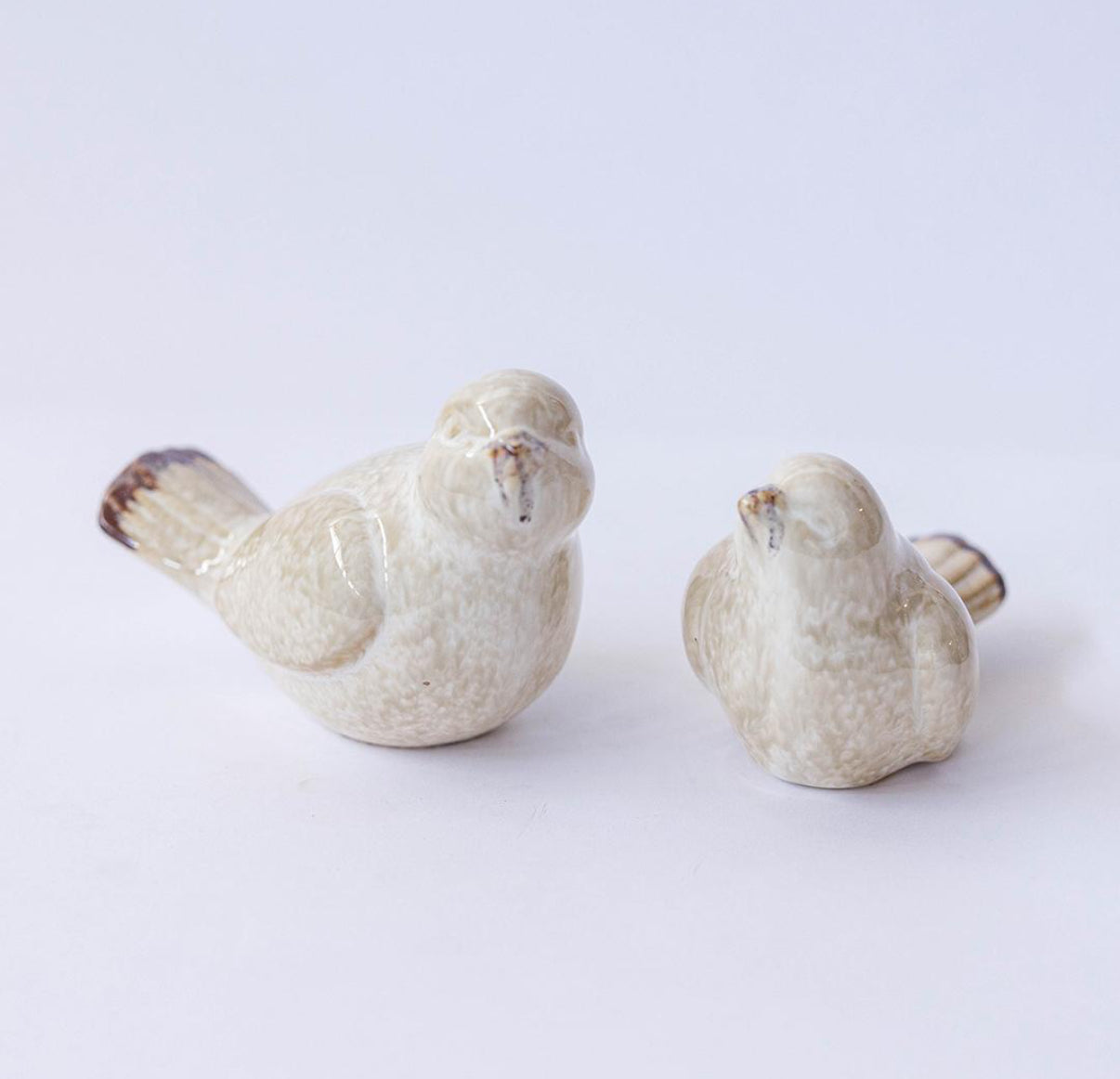 Ceramic Birds (Set of Two)