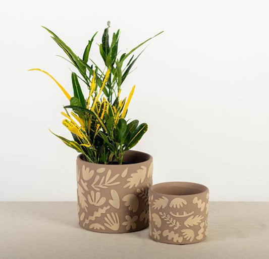 Simple Leaves Pots - Set of 2