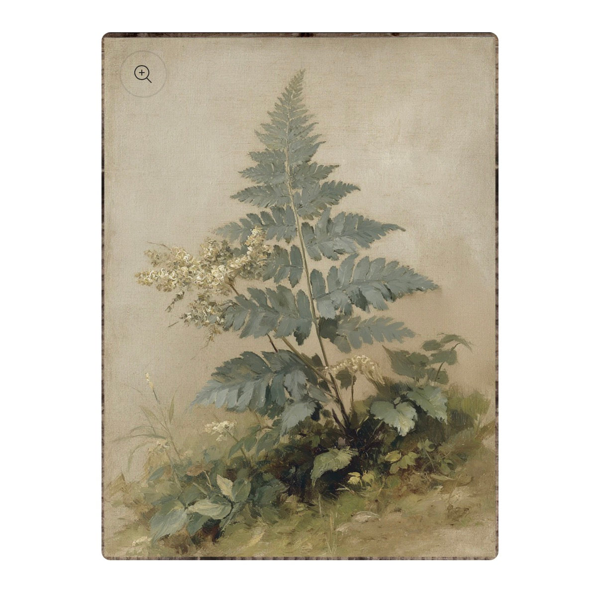 Fern 1 Framed Print