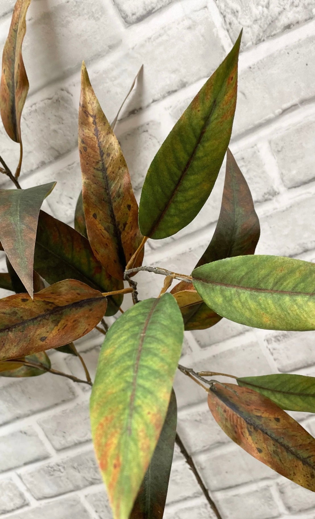 Green/Brown Eucalyptus Spray 45”