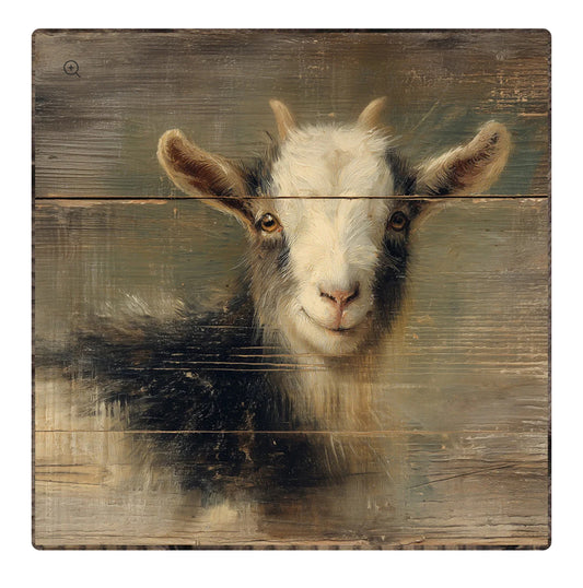Gregory the Goat Framed Print