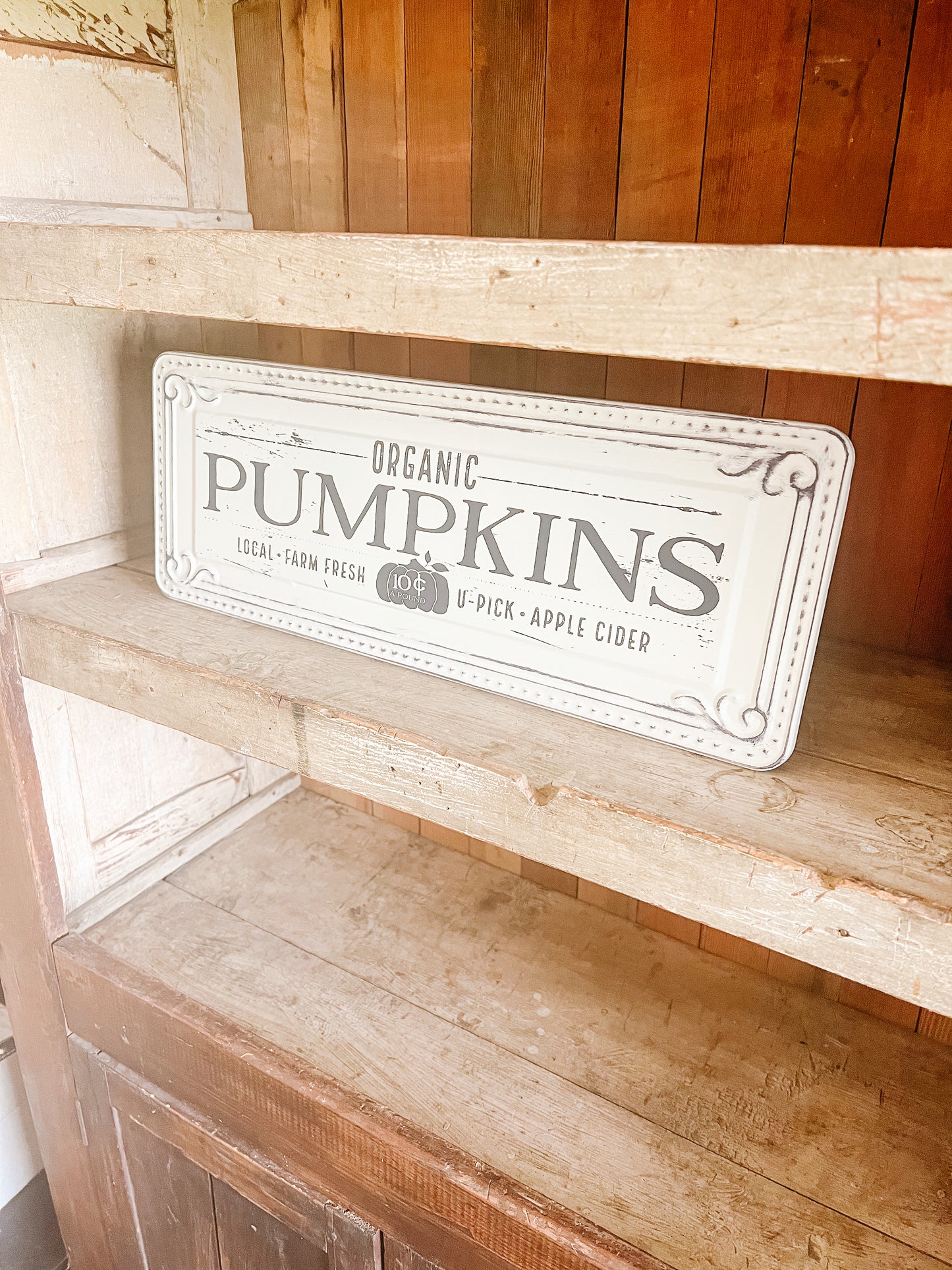 Pumpkins - Metal Sign