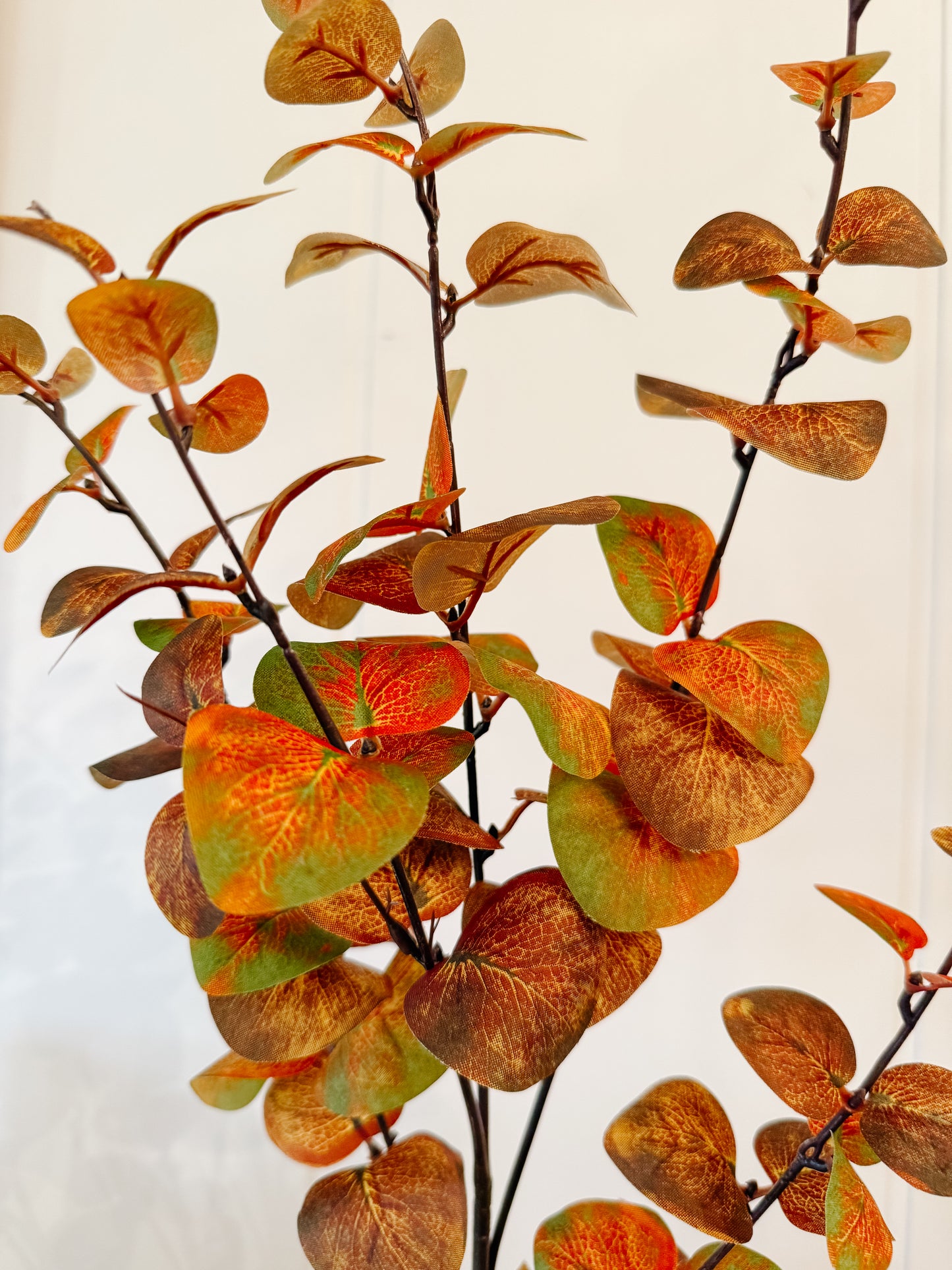 Fall Eucalyptus Spray 38”