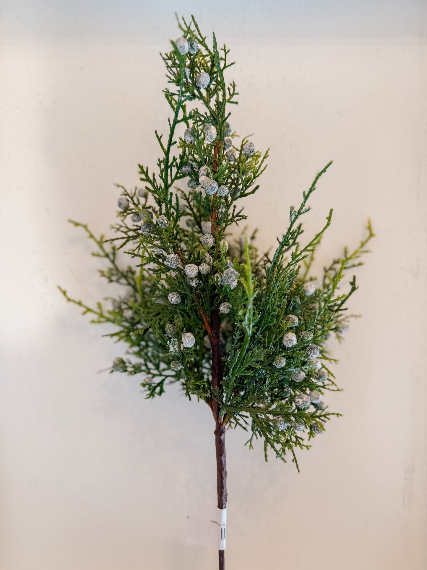 Juniper Berry Spray 18”