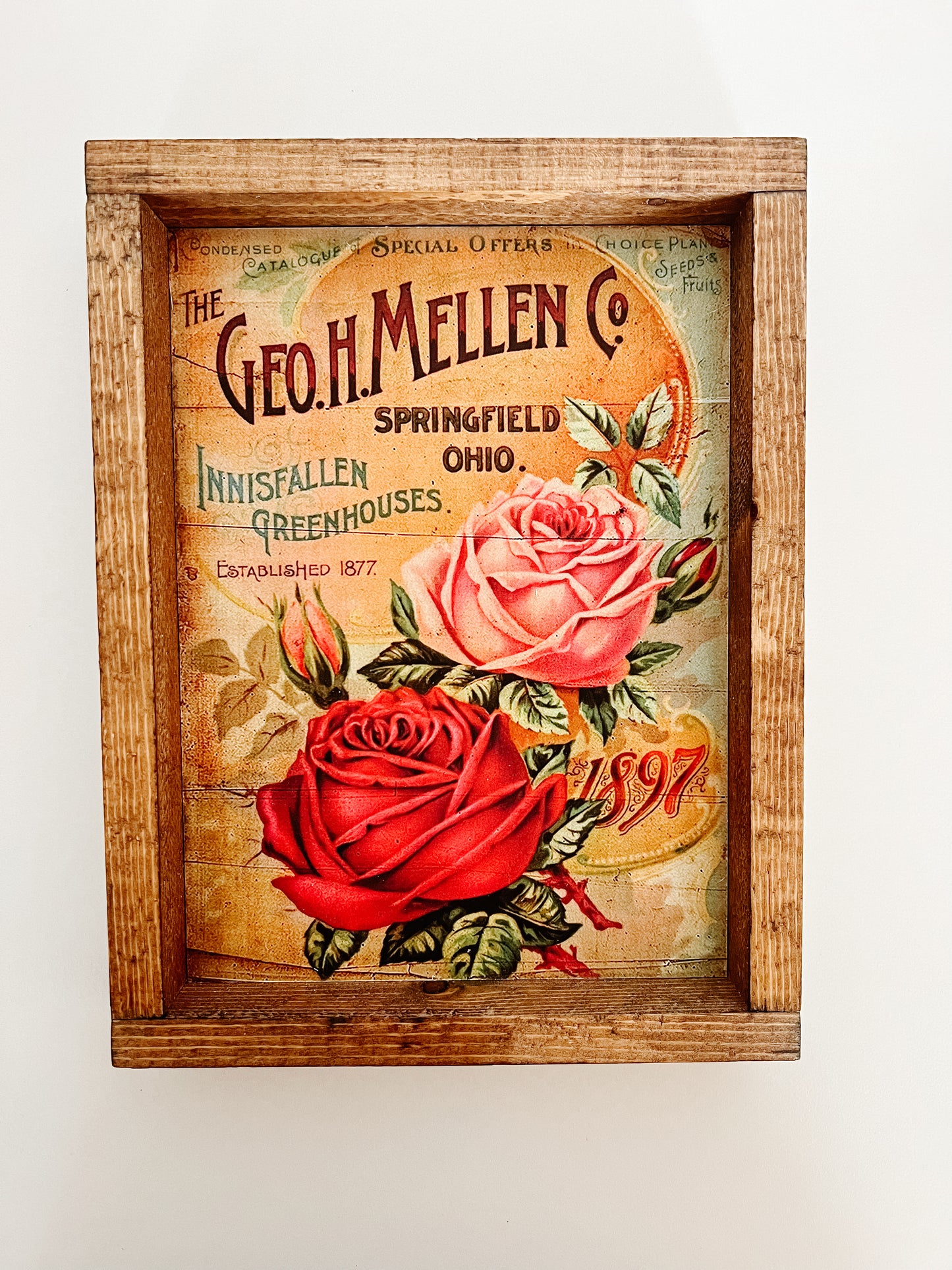 Pink/Red Roses Framed Print