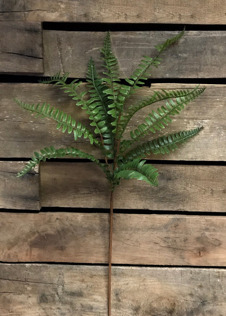 Fern Spray 26”