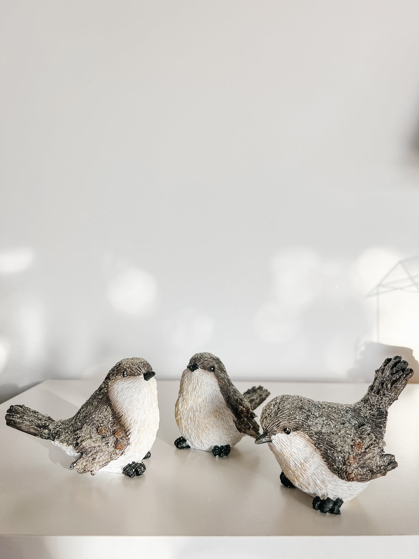 Winter Birds - Set of 3