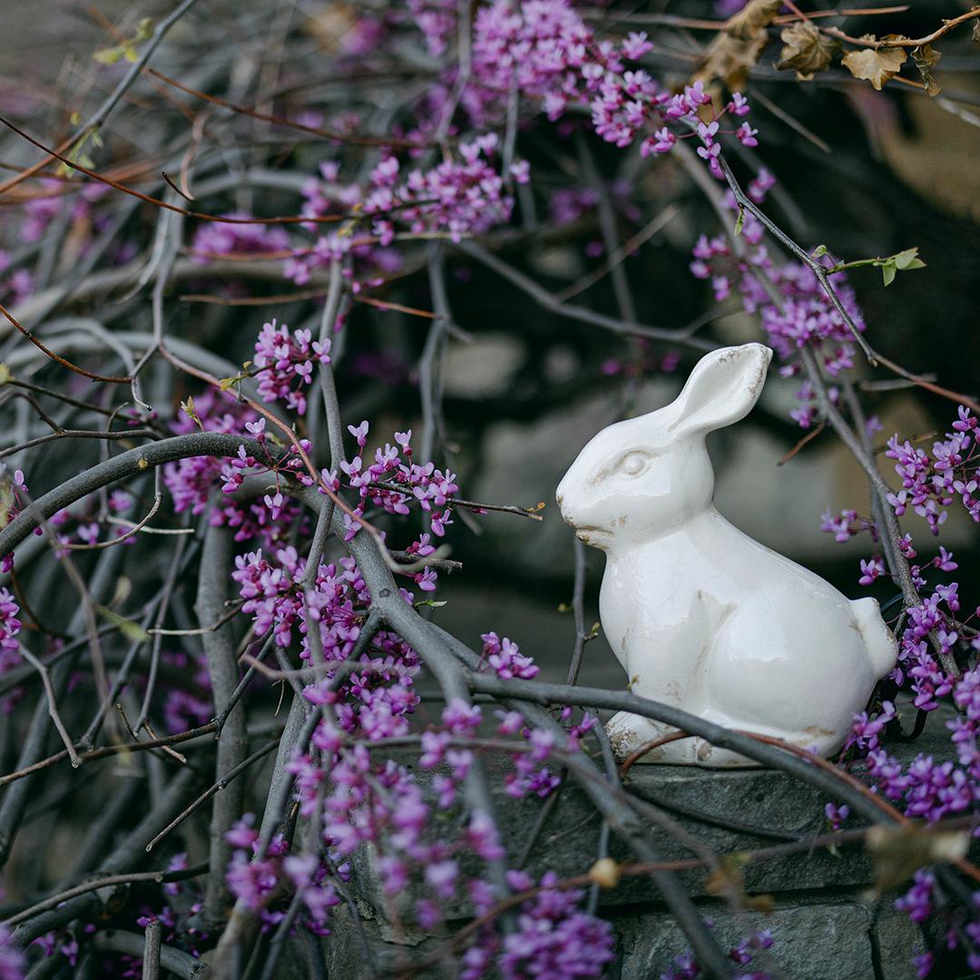 Ceramic Rabbit