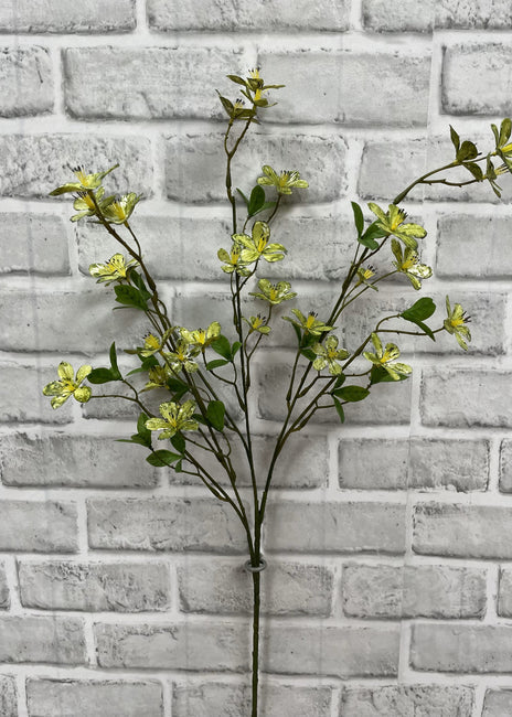 Green Plum Flower Stem 27”