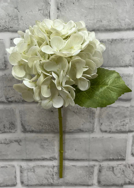 Cream Hydrangea Stem 12”