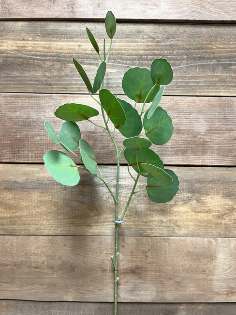 Fresh Touch Eucalyptus Spray 30”
