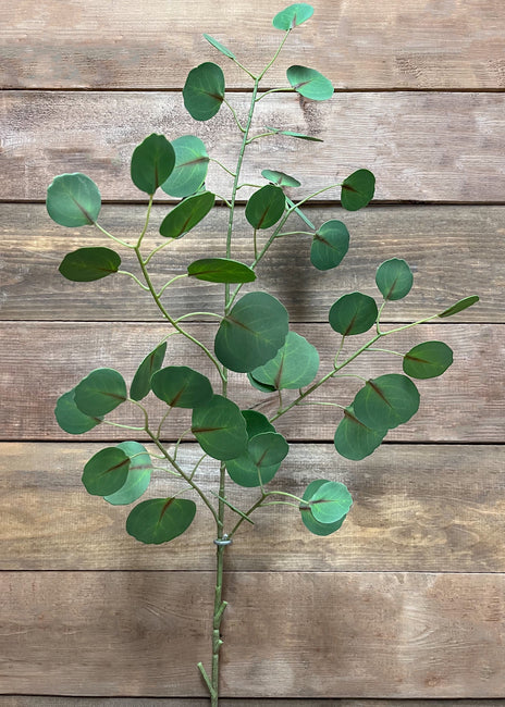 Fresh Touch Eucalyptus Spray 45”