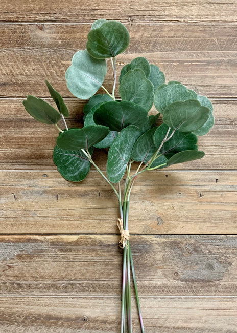 Fresh Touch Eucalyptus Pick 17”