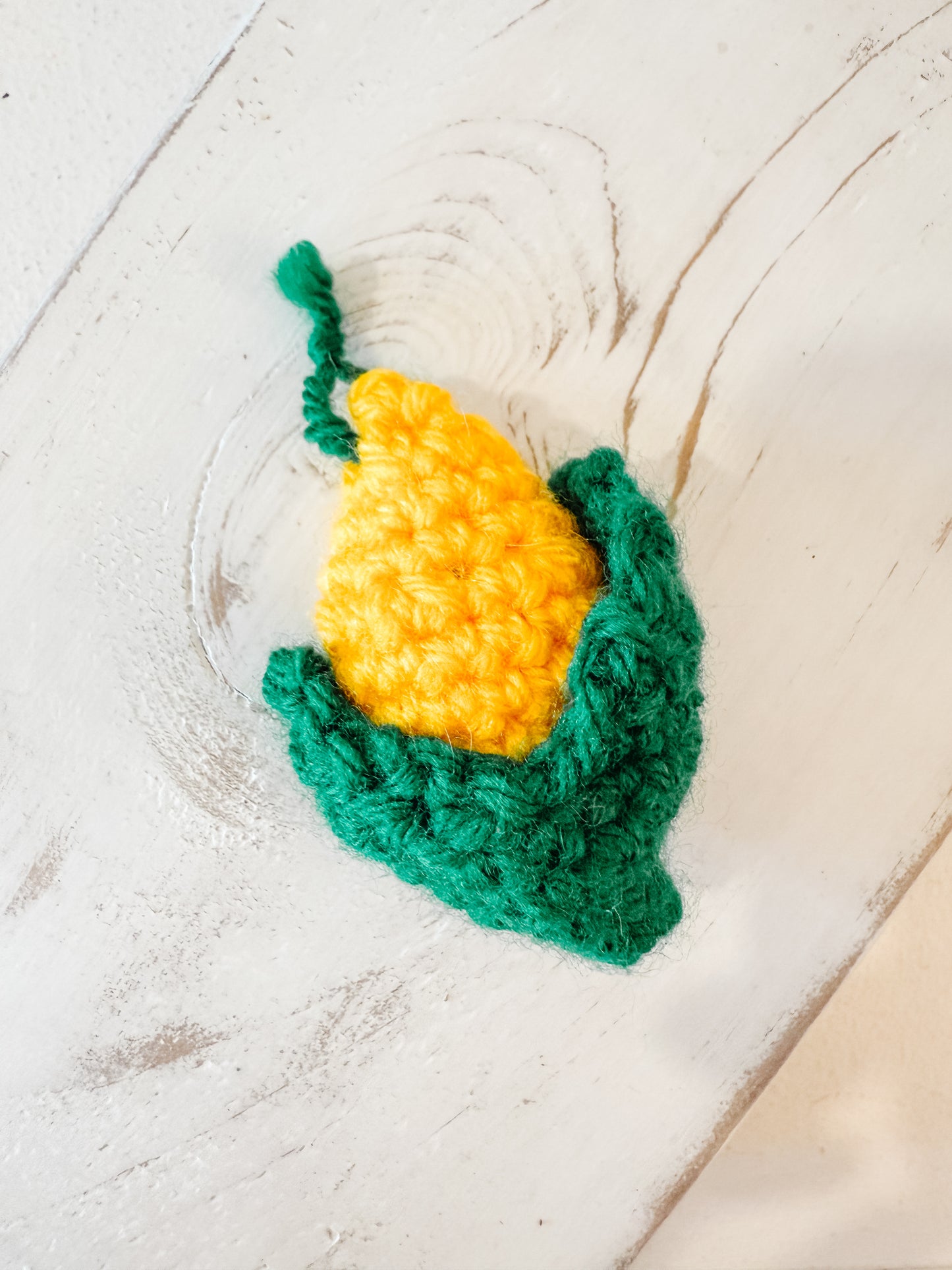 Catnip Toys - Assorted