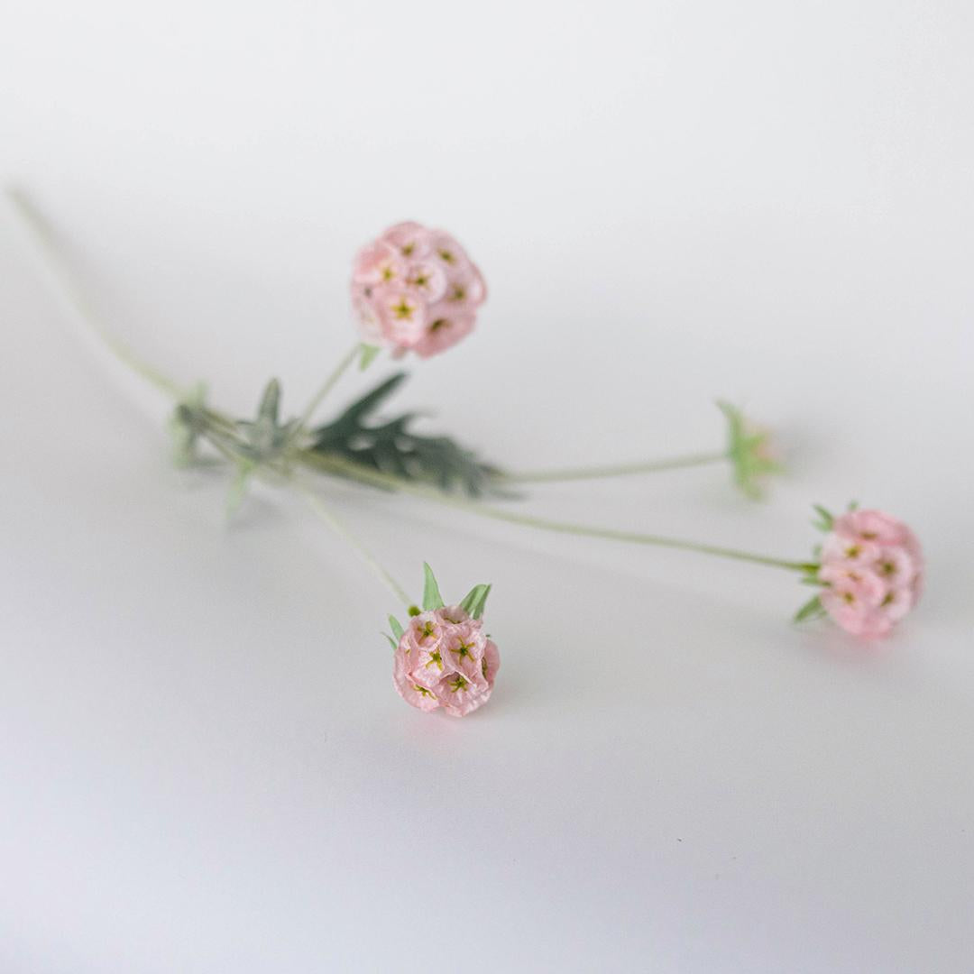 Windmill Fruit Stem