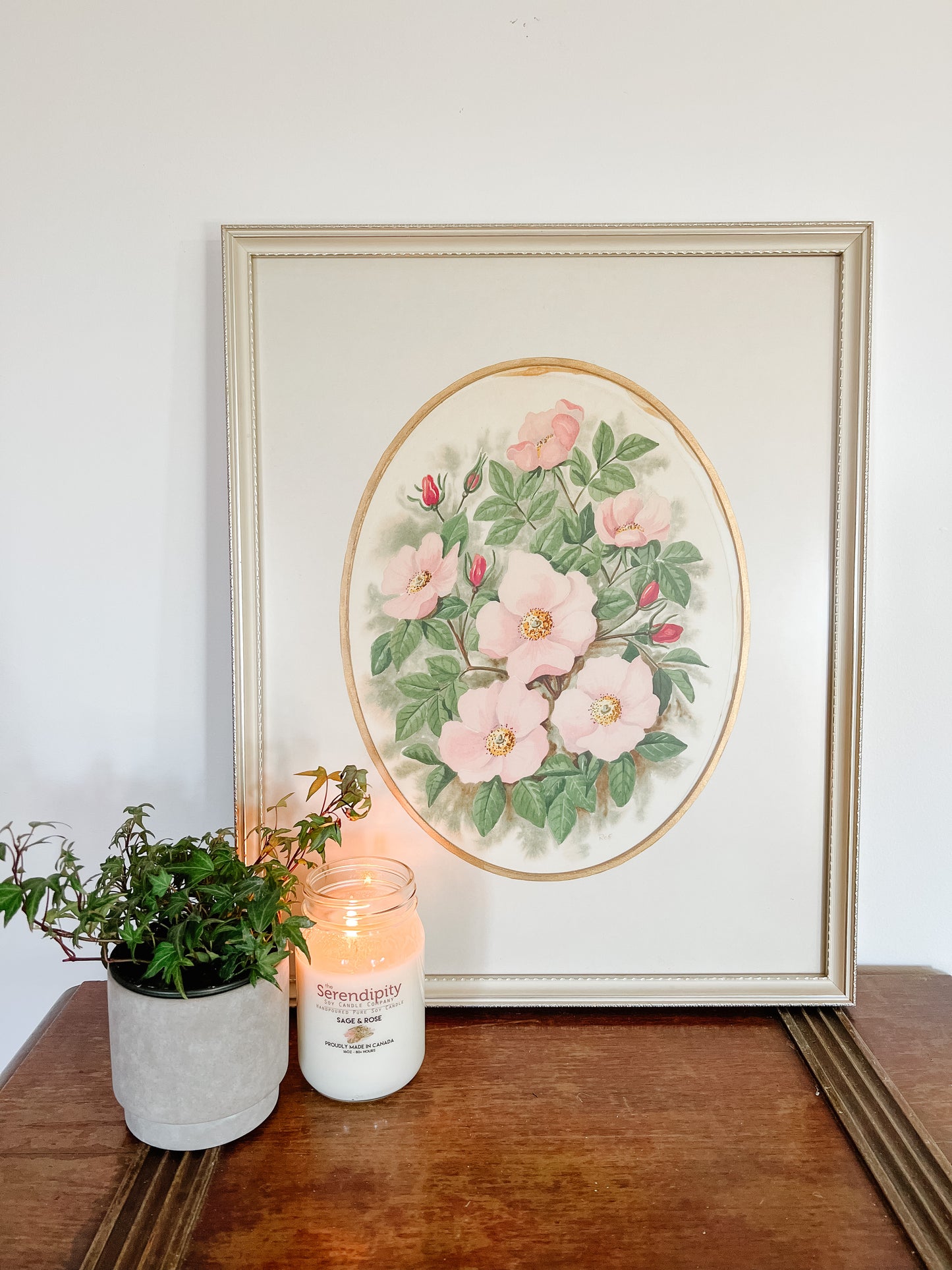 Alberta Wild Rose Framed Print