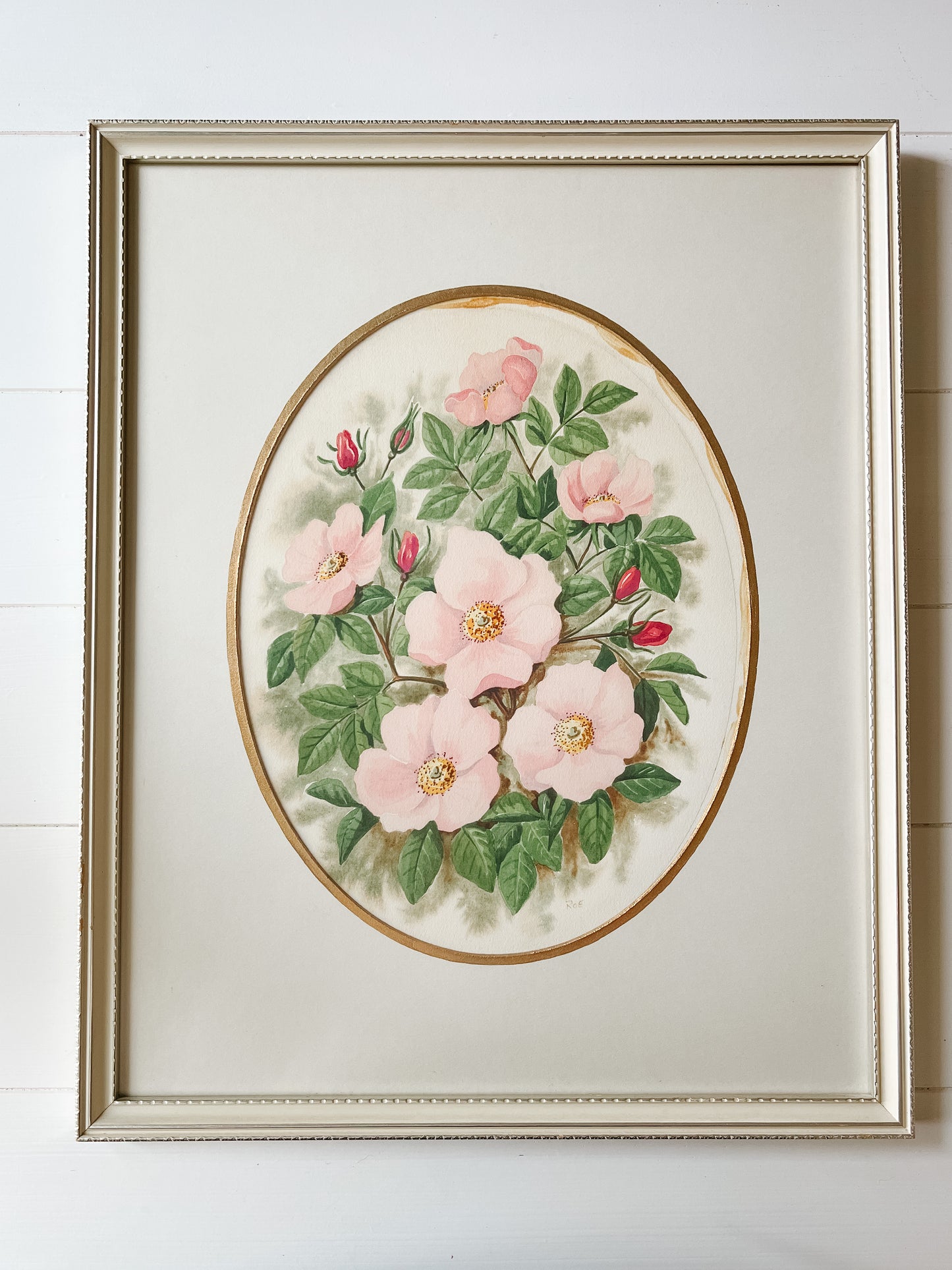 Alberta Wild Rose Framed Print