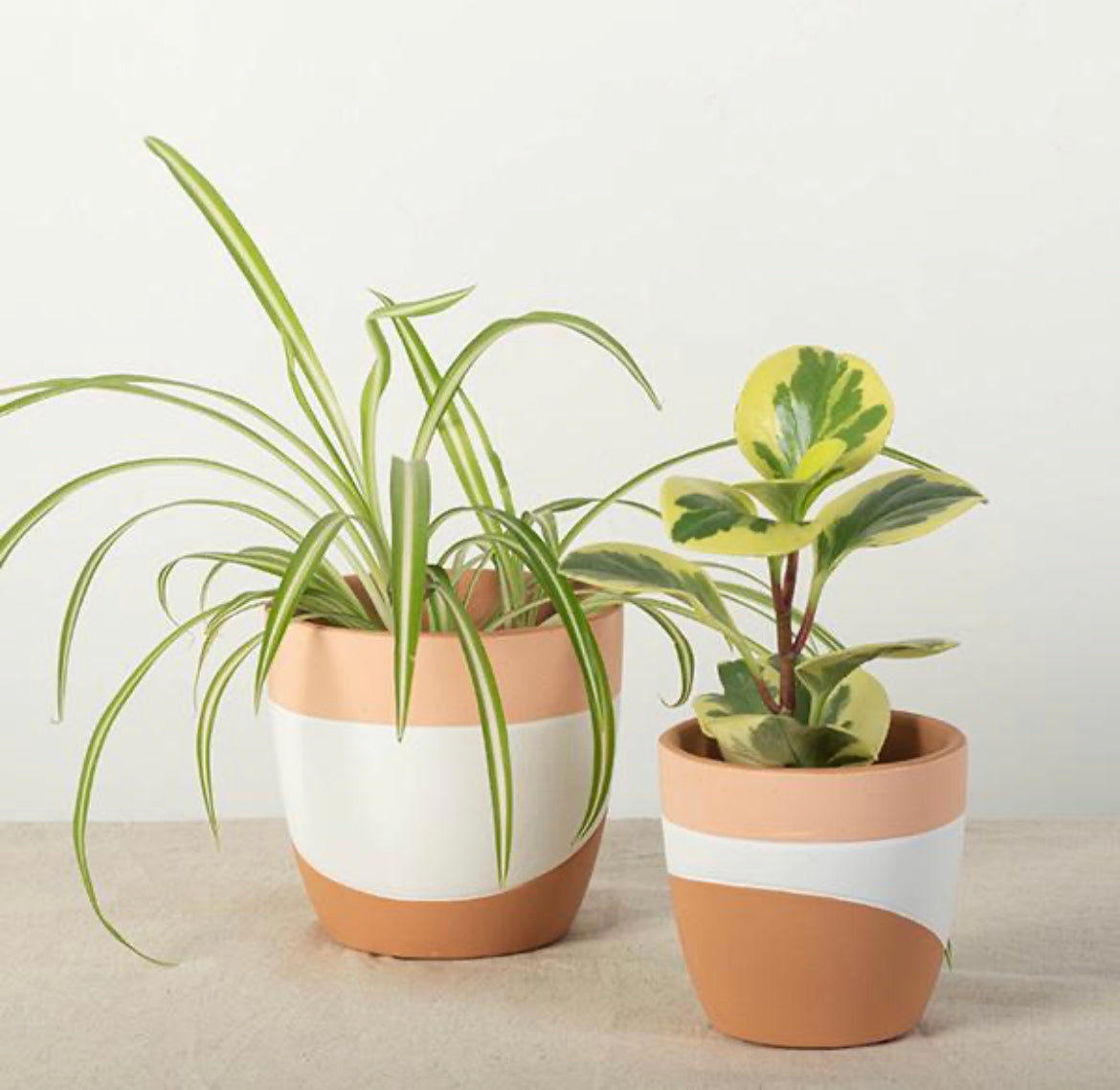 TerraCotta Flower Pots (set of 2)