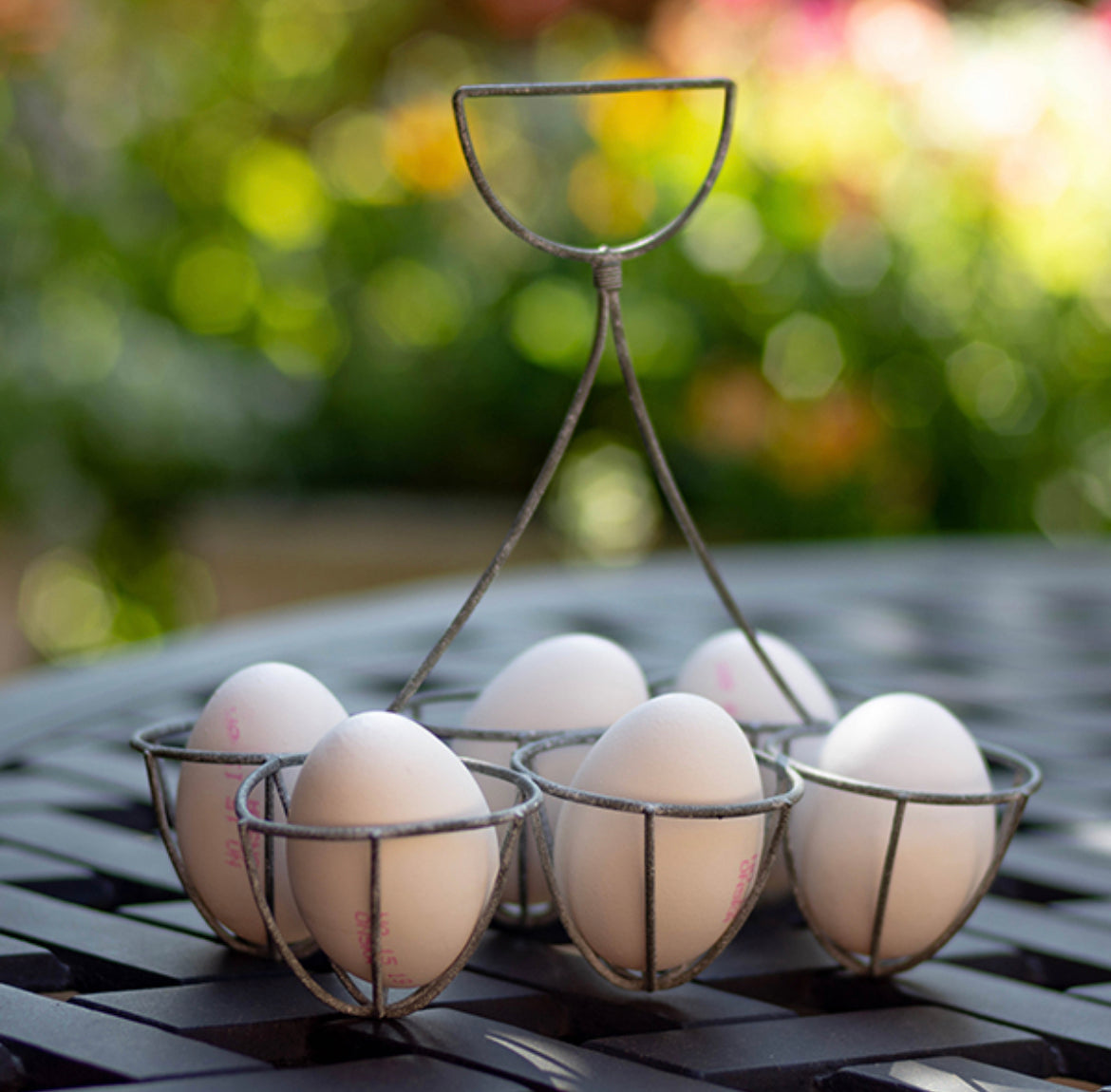 Egg Holder