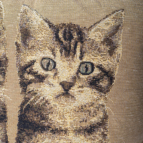 Kittens on the Farm Pillow