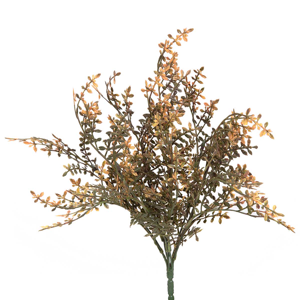 Chickweed Spray - Orange