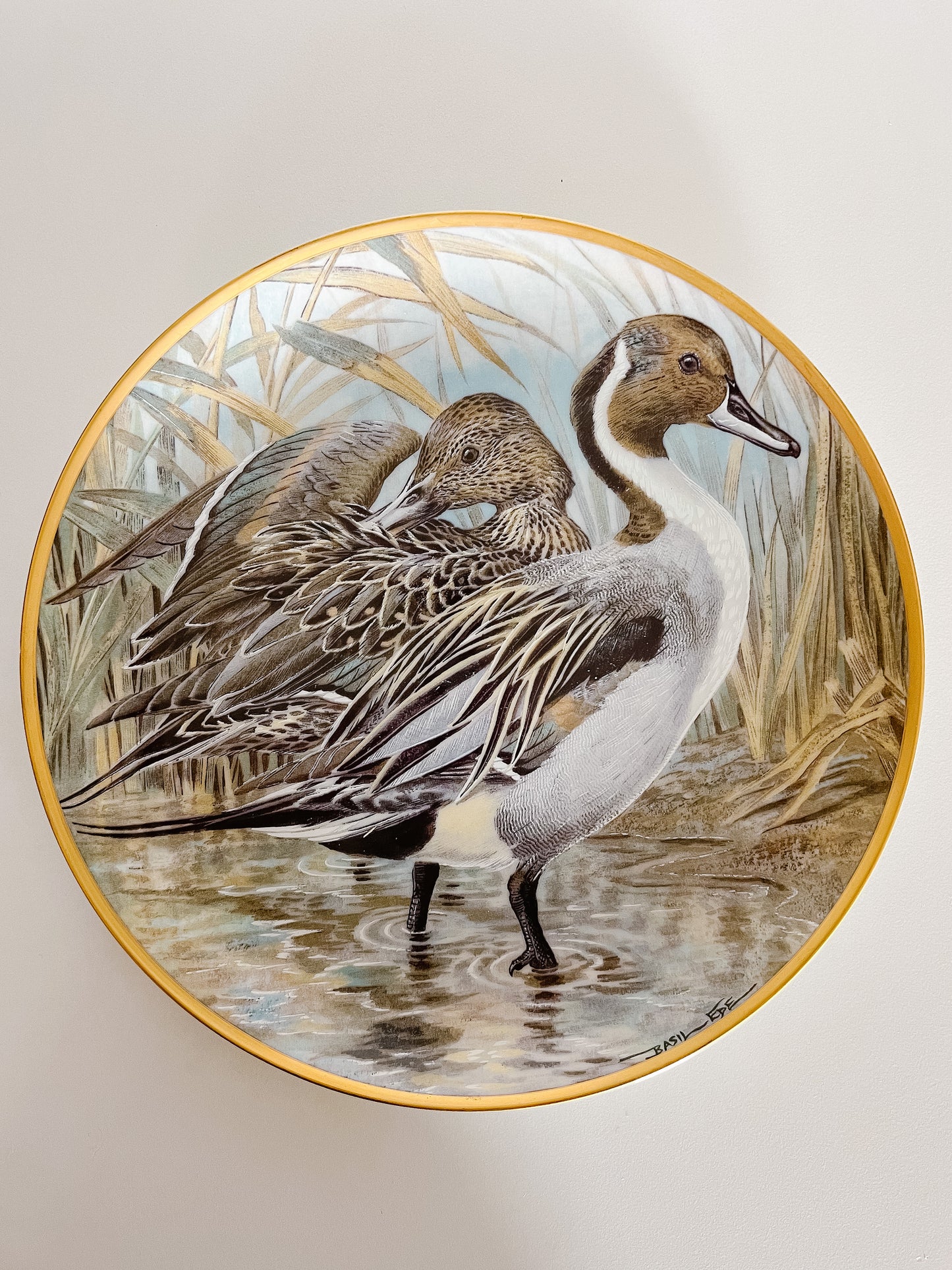 Pintail Duck Decorative Plate