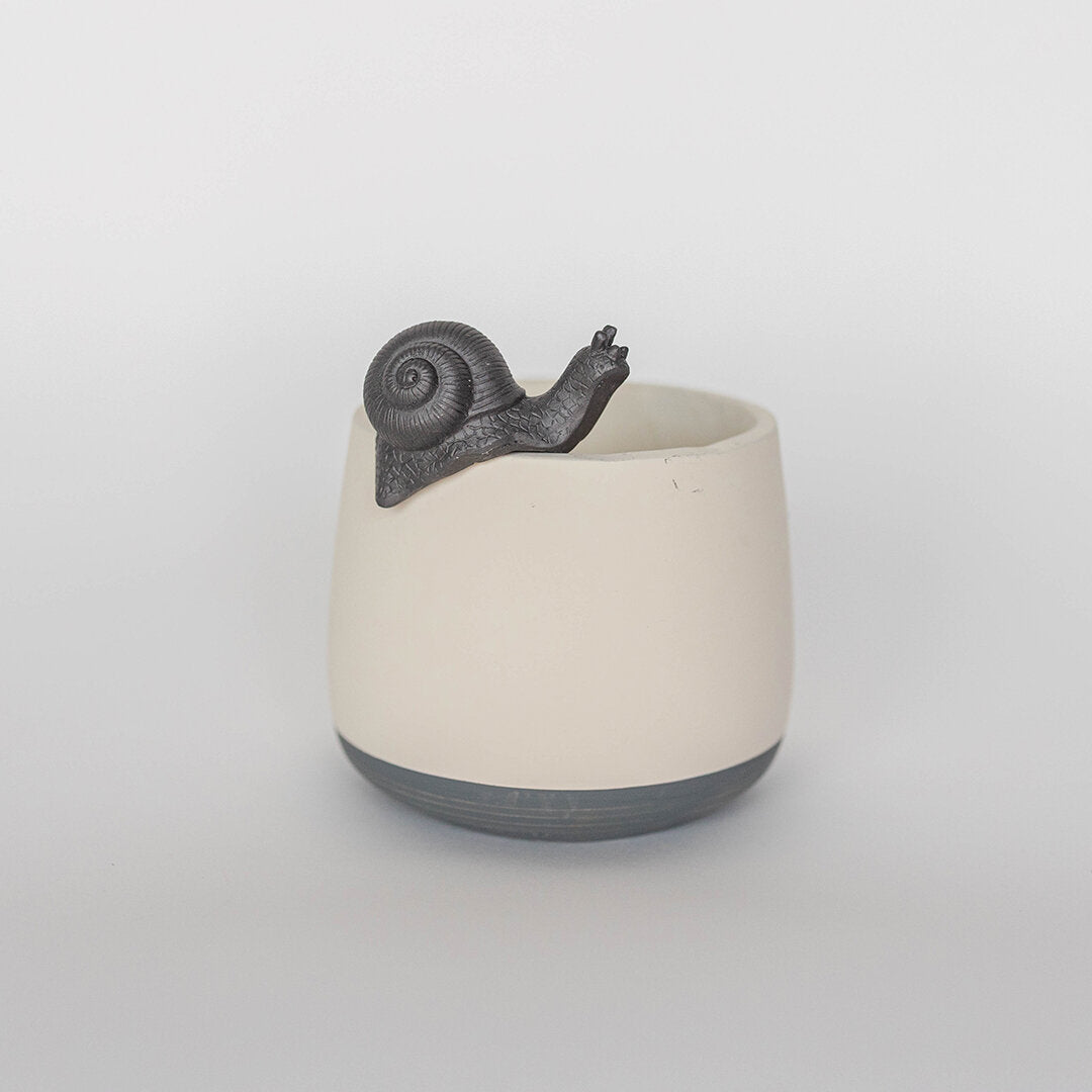 Black Snail Flower Pot Decoration - Small