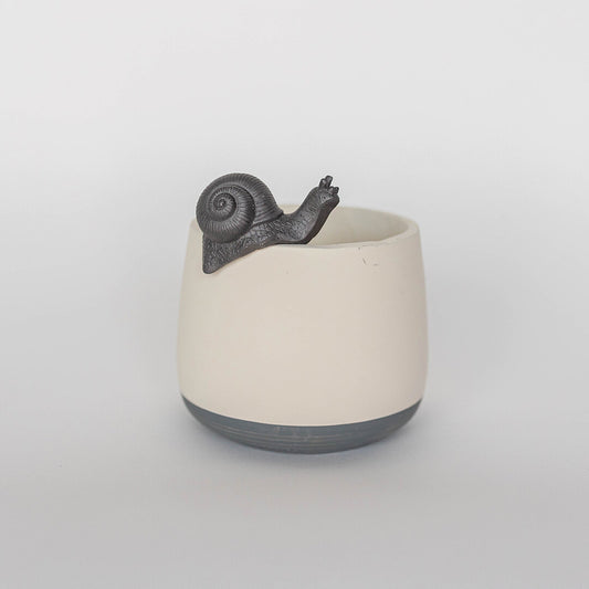 Black Snail Flower Pot Decoration - Small
