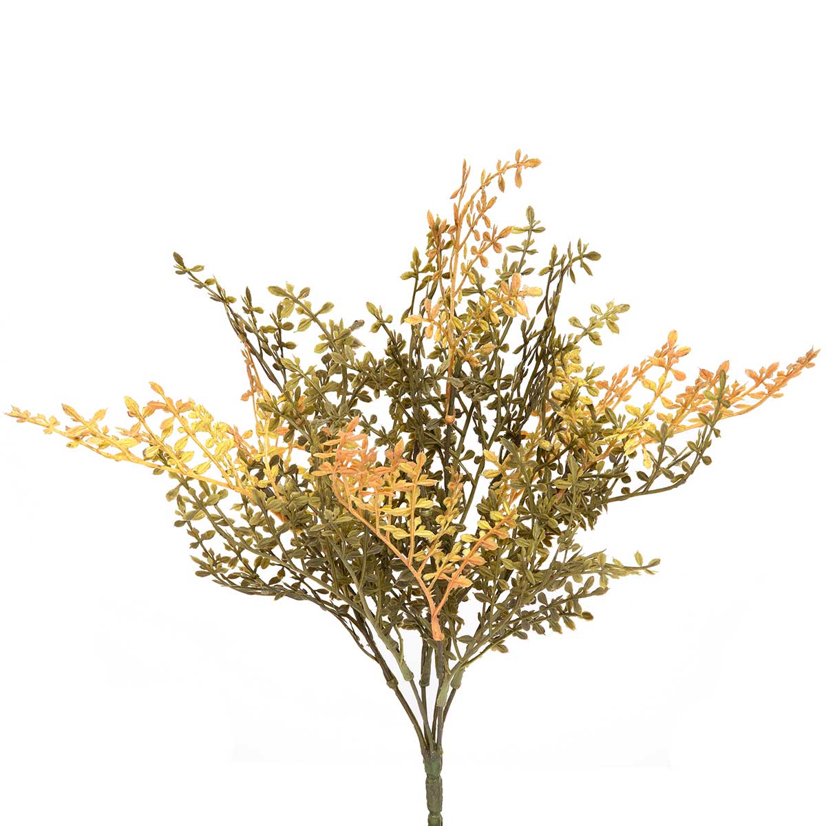 Chickweed Spray - Yellow