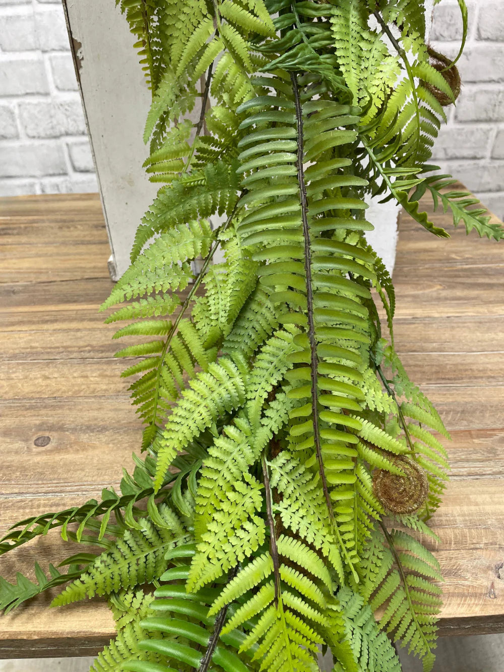 Fresh Touch Lacy Fern Garland 60”