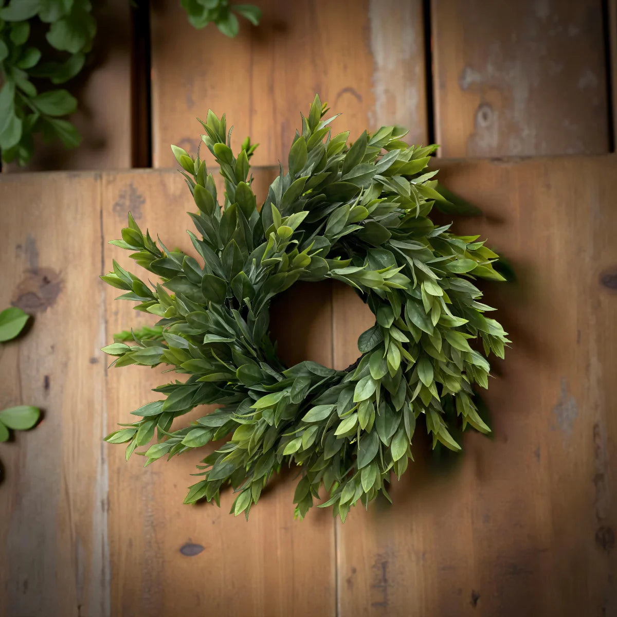 Ruscus Wreath 11.5”