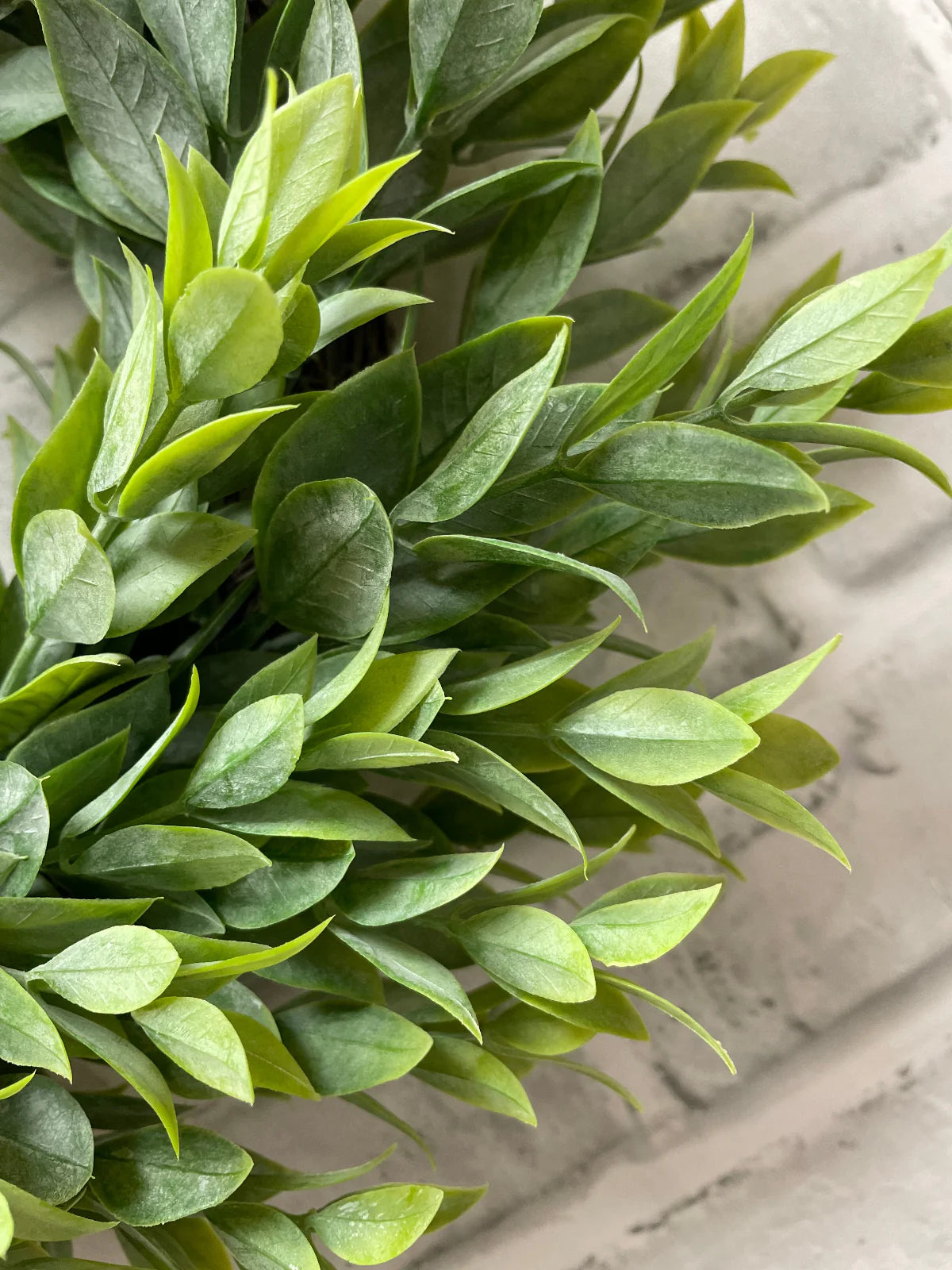 Ruscus Wreath 11.5”