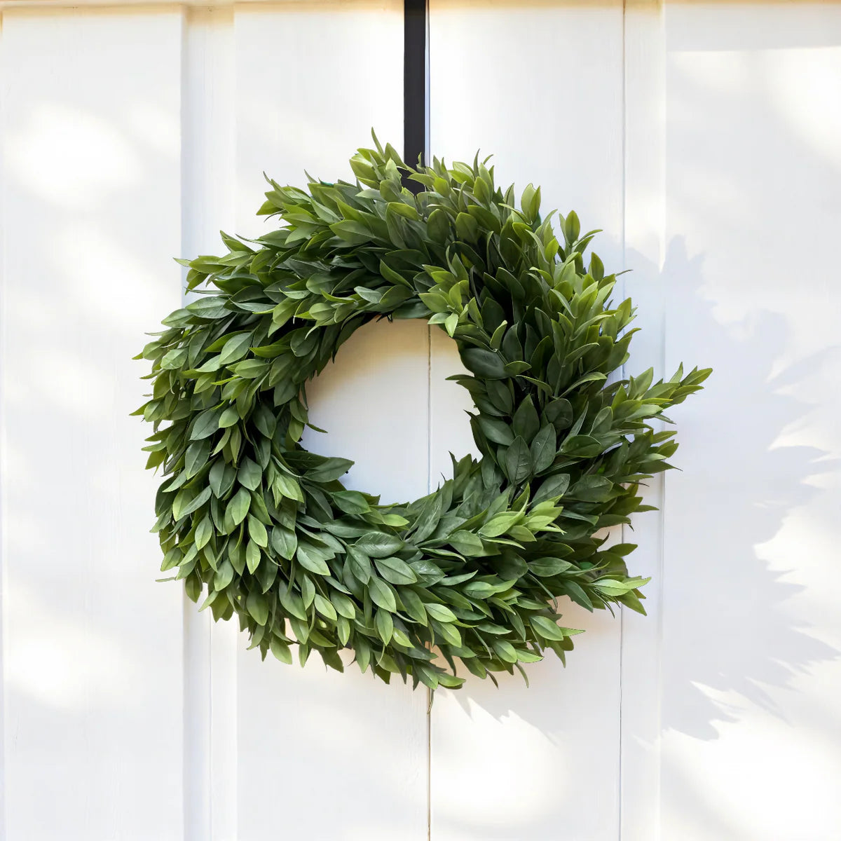 Ruscus Wreath 13”