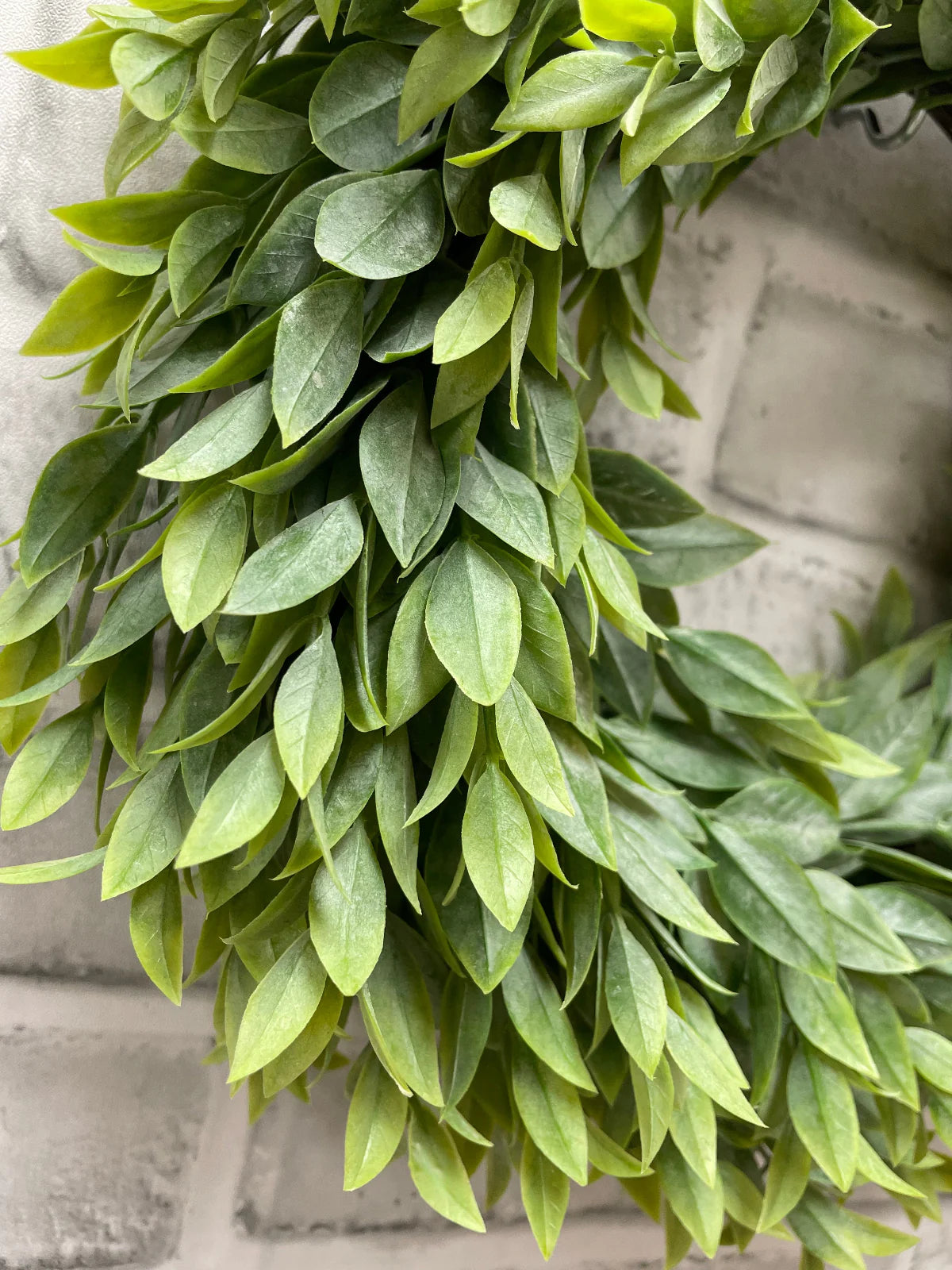 Ruscus Wreath 11.5”