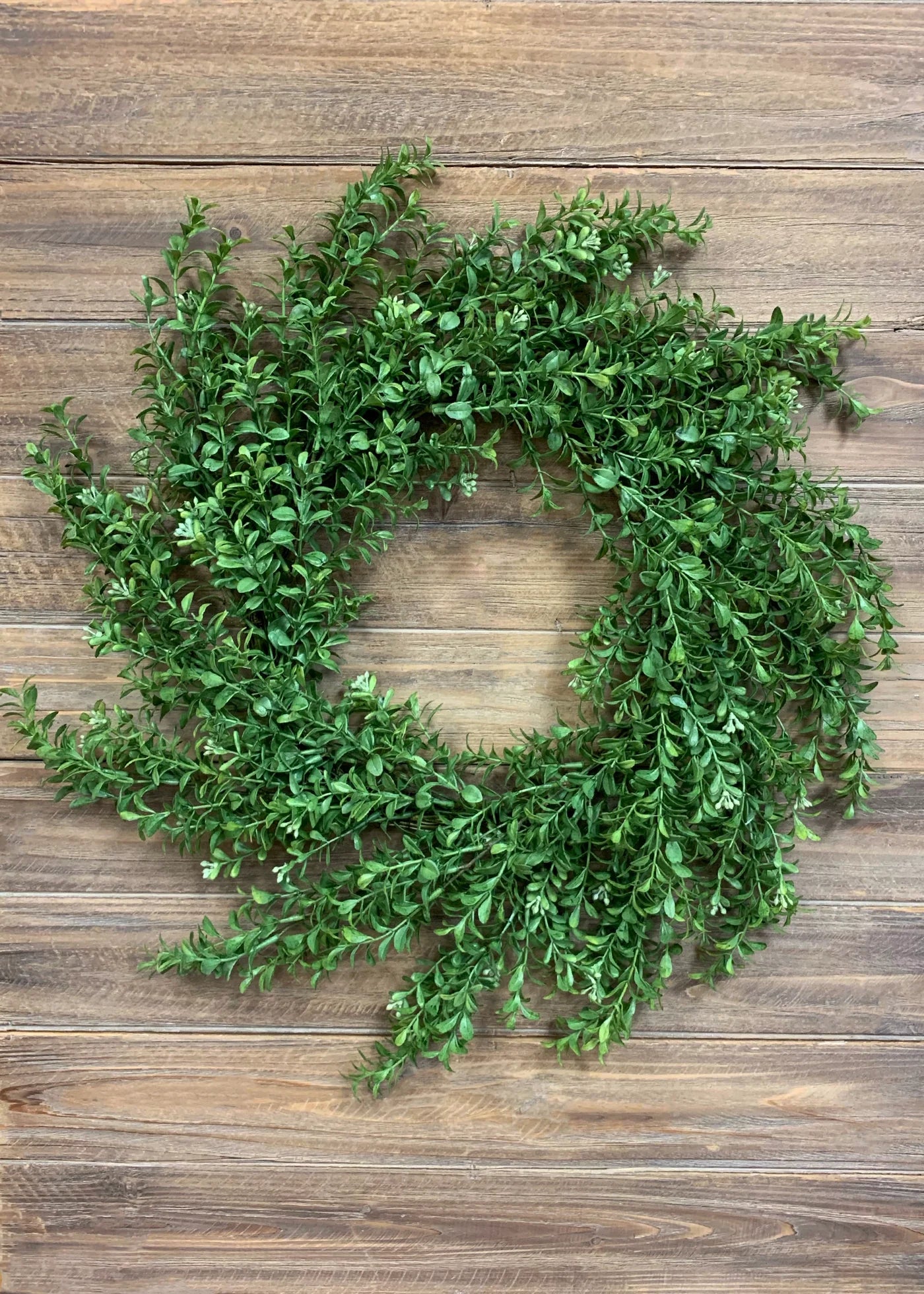 Boxwood Wreath 24”