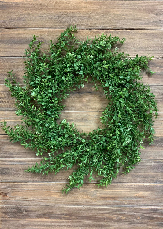 Boxwood Wreath 24”