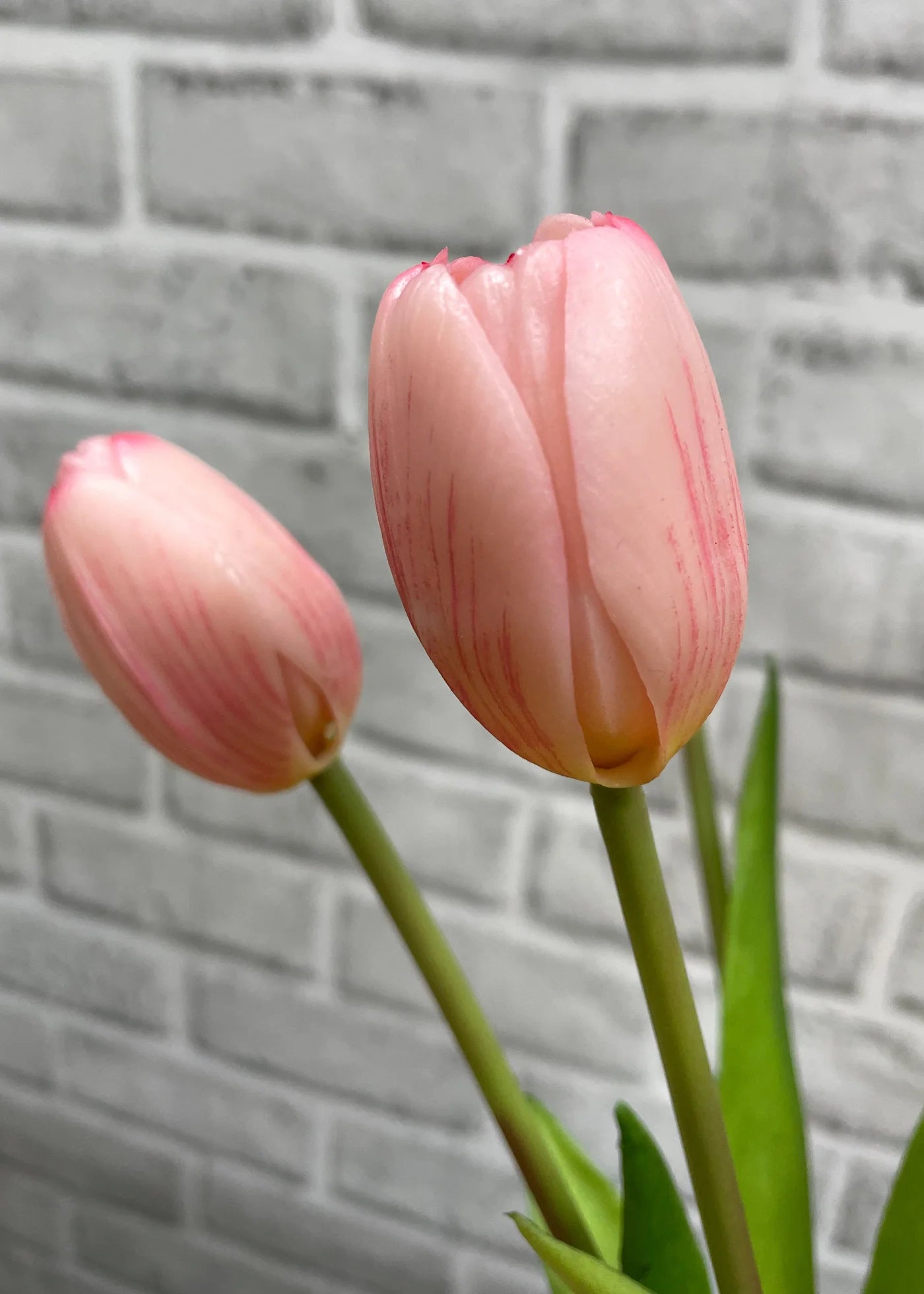 Fresh Touch Pink Tulip Bundle 16”
