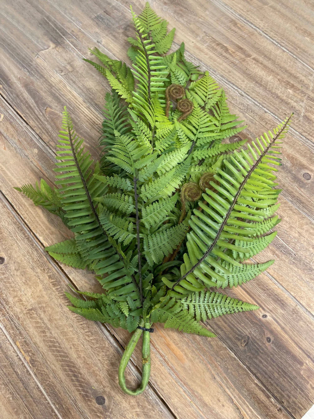 Fresh Touch Lacy Fern Swag 24”