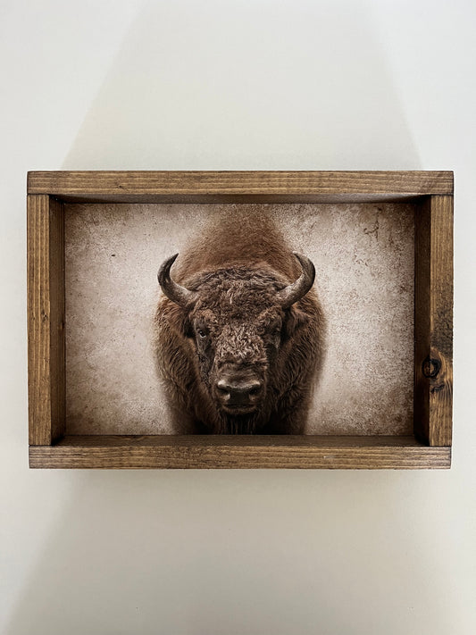 “Boris” Buffalo Framed Print