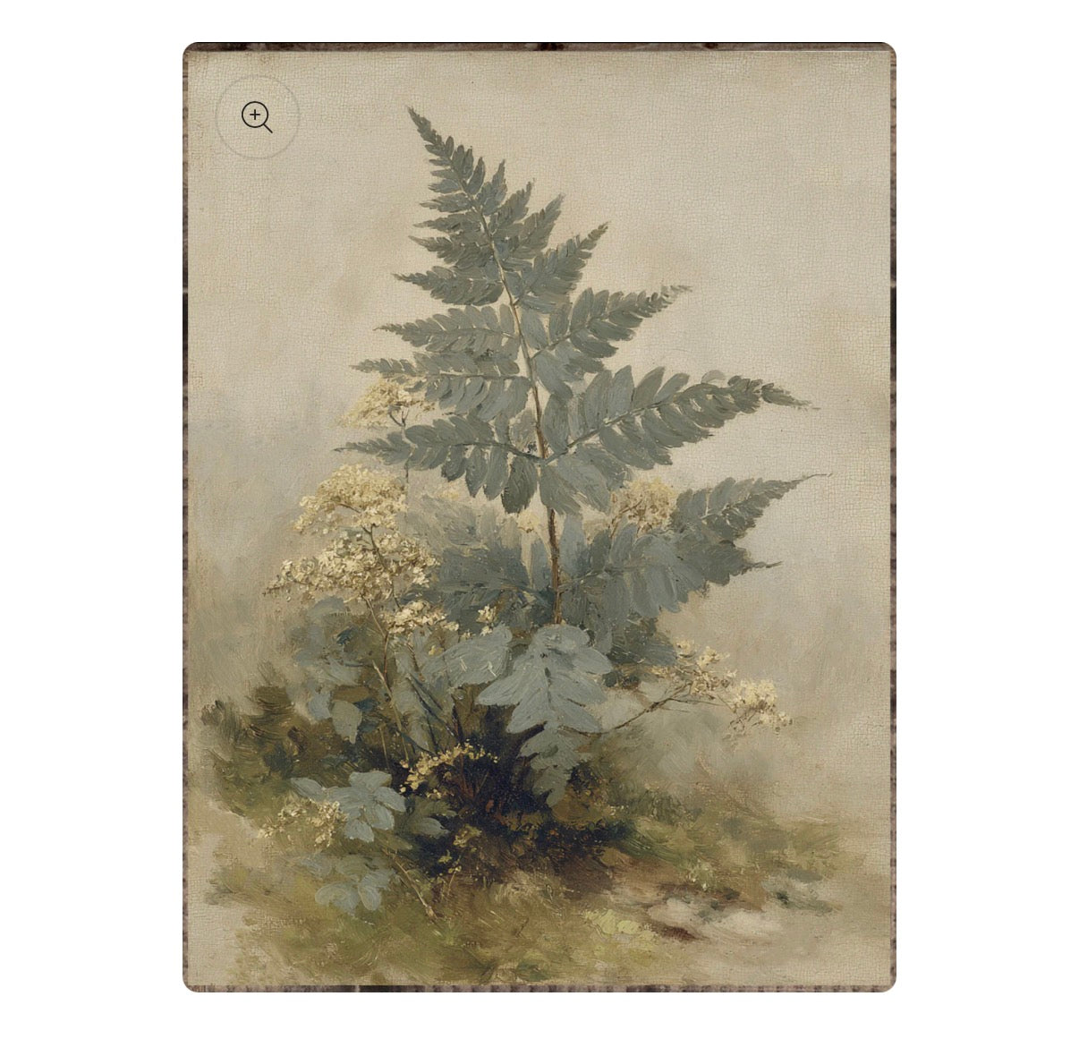 Fern 2 Framed Print