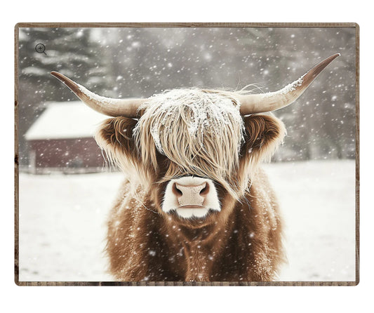 Winston the Cow Framed Print