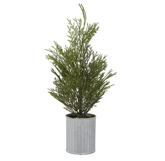 Juniper Tree 19.5”